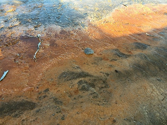 paint pots in yellowstone