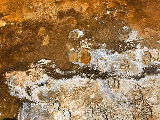 stone texture in yellowstone