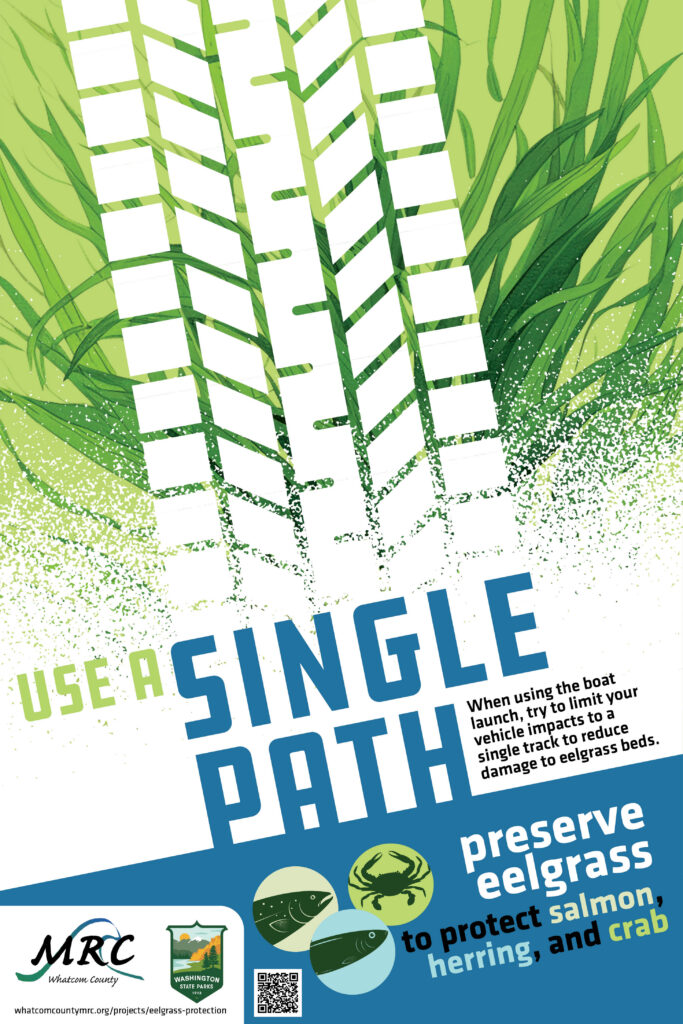 whatcom MRC preserve eelgrass poster design