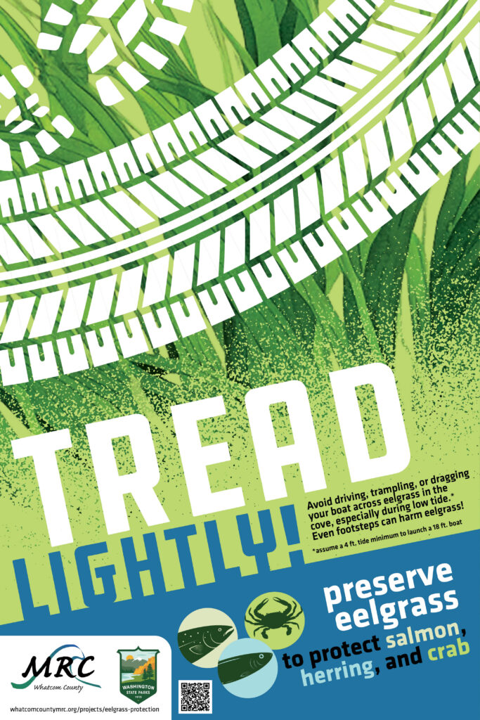 Whatcom MRC tread lightly preserve eelgrass poster