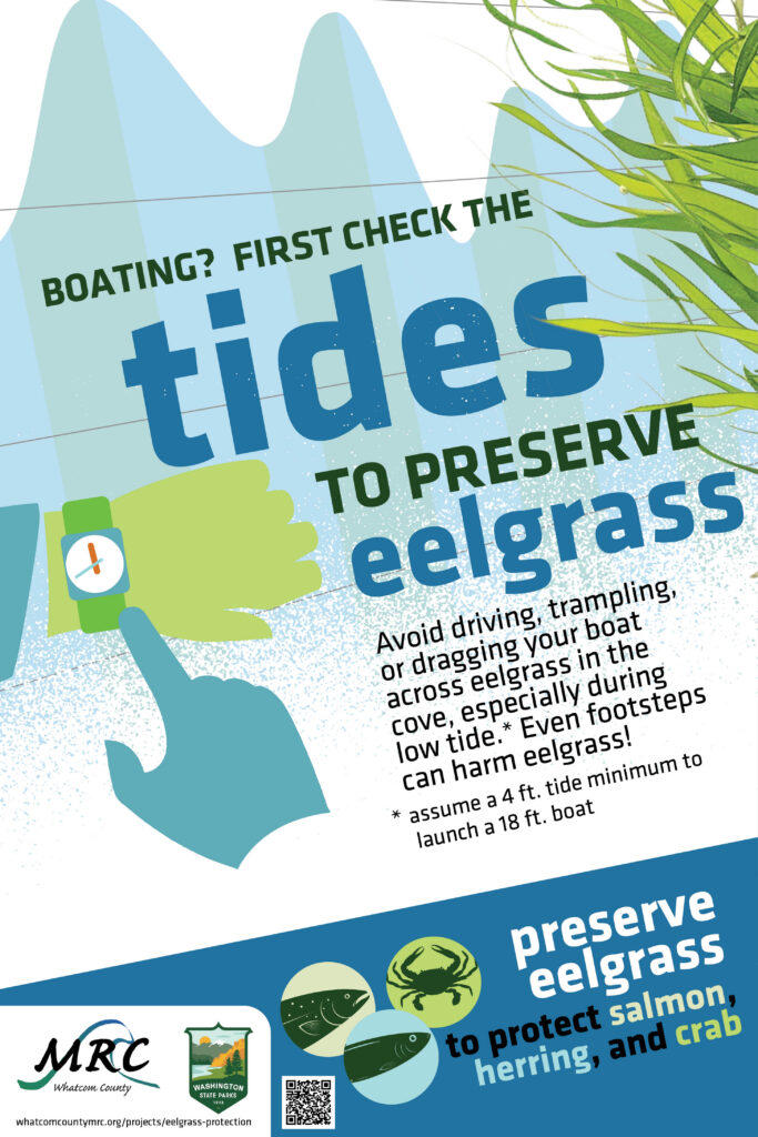 Whatcom MRC check the tides to preserve eelgrass poster