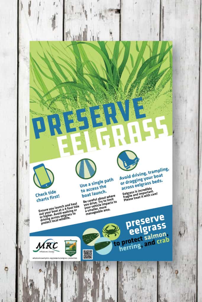 whatcom MRC preserve eelgrass poster