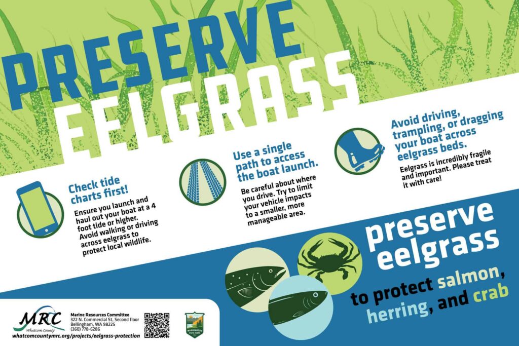 Whatcom MRC preserve eelgrass campaign sign