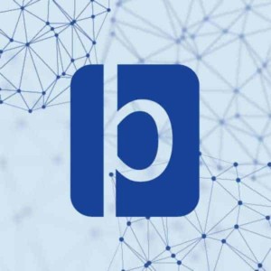 Blueprint clinical logo and branding design by Shew Design