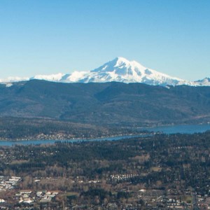 city of bellingham
