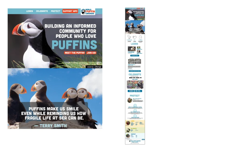 world puffin congress website design process - branded home page design