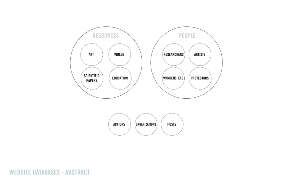 world puffin congress website design process - webtsite databases - abstract diagram